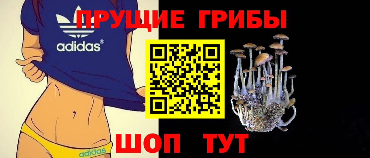 Кострома  Псилоцибиновые грибы мухоморы  Вход с VPN 
